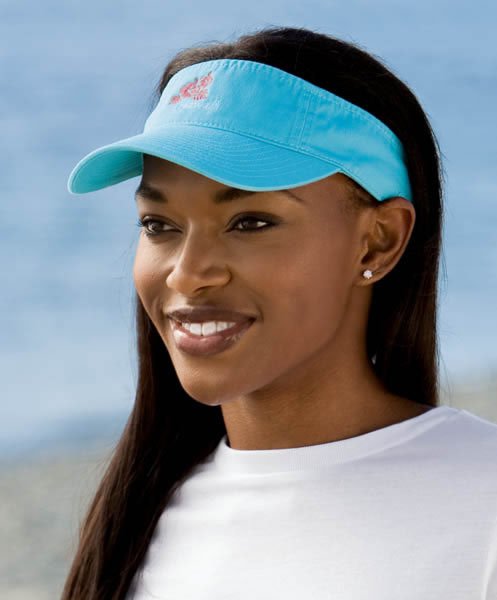 Port Authority Visor Example